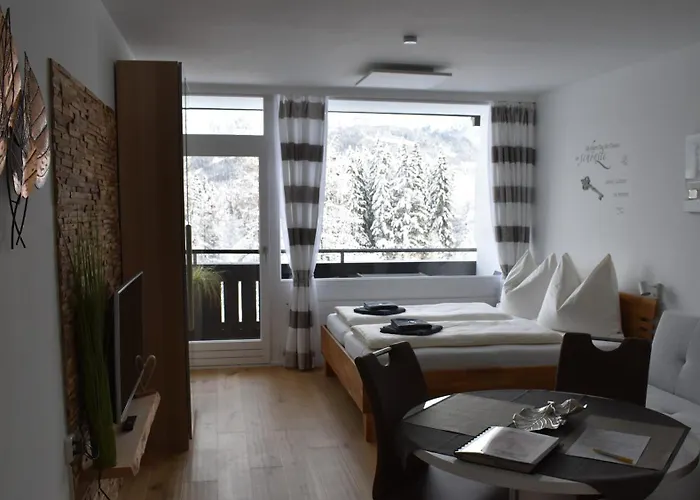 Apartment D 'freizeit Bad Goisern am Hallstättersee